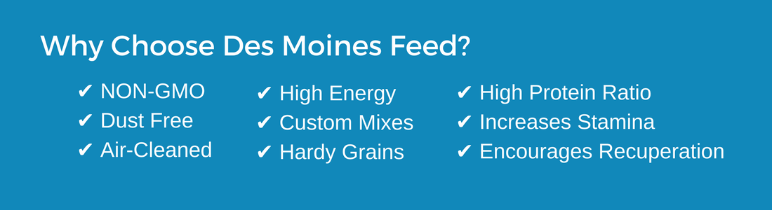 why choose des moines feed graphic non-gmo dust free